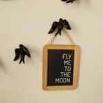 Fly-me-to-the-moon